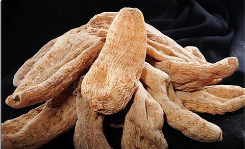 暑假里補充營養,推薦孩子吃四種食物,補充營養,改善血液循環