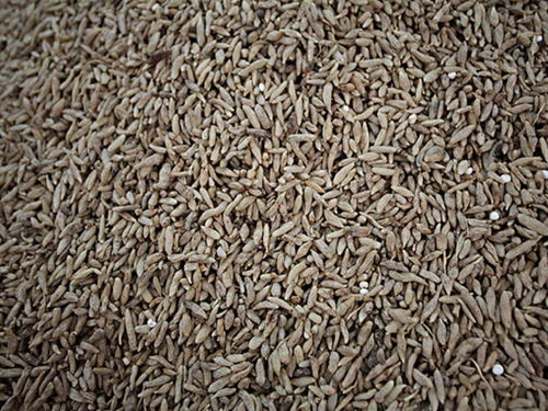 金寨天麻專賣店 金寨天麻價(jià)格 金寨天麻哪里買 途牛移動(dòng)站