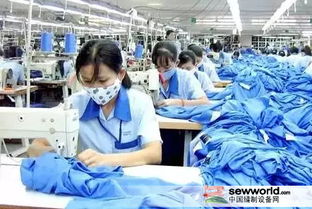 原料價格上漲背景下服裝企業雙11應對策略